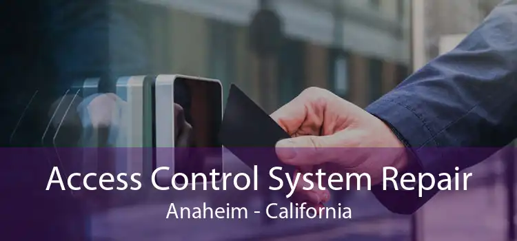 Access Control System Repair Anaheim - California