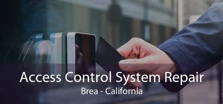Access Control System Repair Brea - California