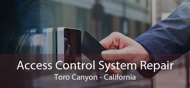 Access Control System Repair Toro Canyon - California