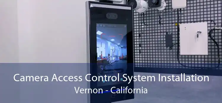 Camera Access Control System Installation Vernon - California