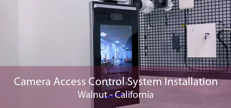 Camera Access Control System Installation Walnut - California