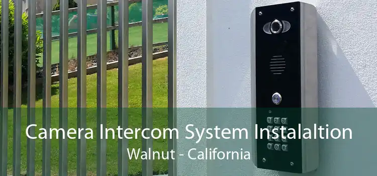 Camera Intercom System Instalaltion Walnut - California