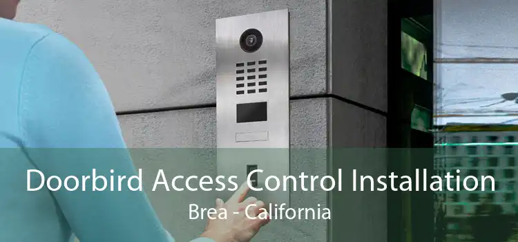 Doorbird Access Control Installation Brea - California