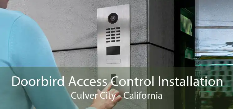 Doorbird Access Control Installation Culver City - California