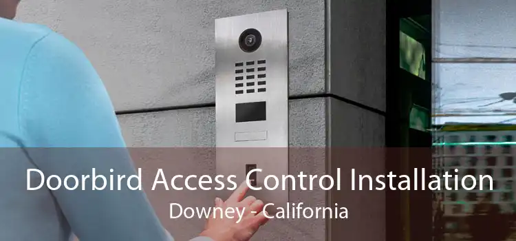 Doorbird Access Control Installation Downey - California