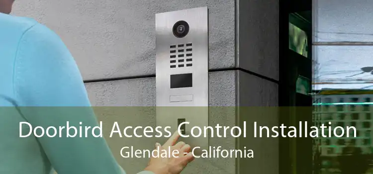 Doorbird Access Control Installation Glendale - California