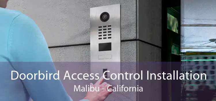 Doorbird Access Control Installation Malibu - California