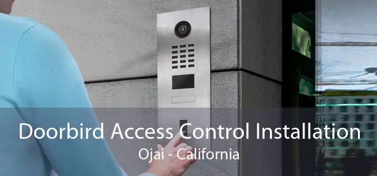 Doorbird Access Control Installation Ojai - California