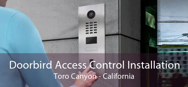 Doorbird Access Control Installation Toro Canyon - California