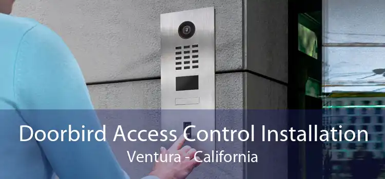 Doorbird Access Control Installation Ventura - California