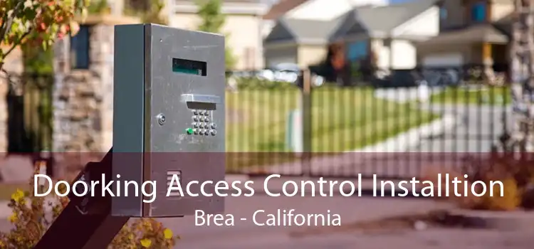 Doorking Access Control Installtion Brea - California