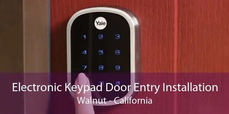 Electronic Keypad Door Entry Installation Walnut - California