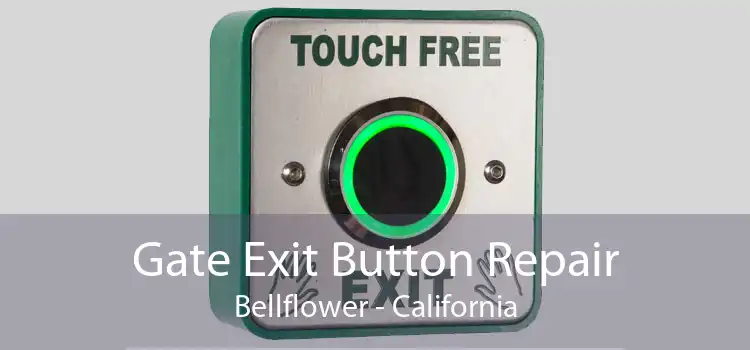 Gate Exit Button Repair Bellflower - California