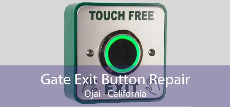 Gate Exit Button Repair Ojai - California