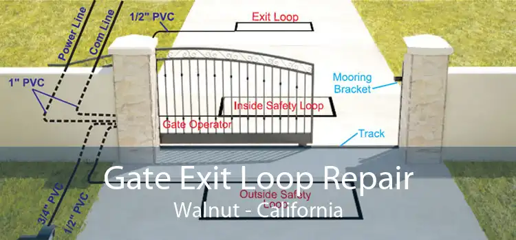 Gate Exit Loop Repair Walnut - California