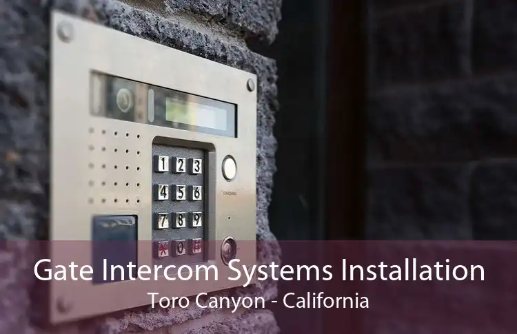 Gate Intercom Systems Installation Toro Canyon - California