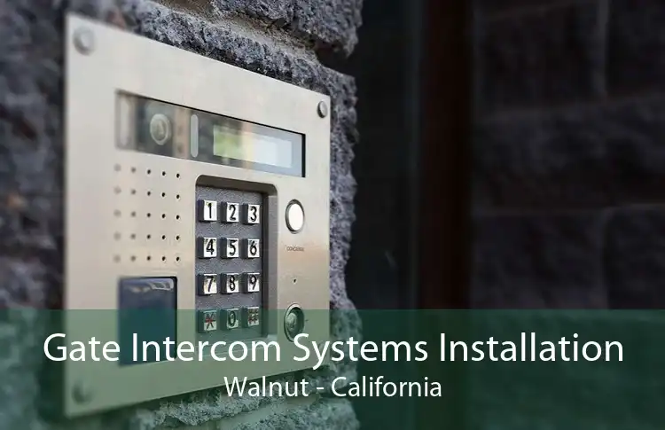 Gate Intercom Systems Installation Walnut - California