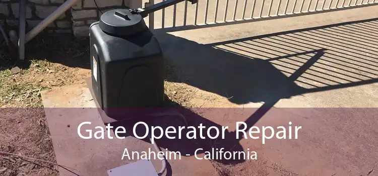 Gate Operator Repair Anaheim - California