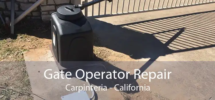 Gate Operator Repair Carpinteria - California