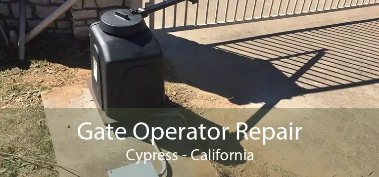 Gate Operator Repair Cypress - California