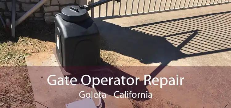 Gate Operator Repair Goleta - California