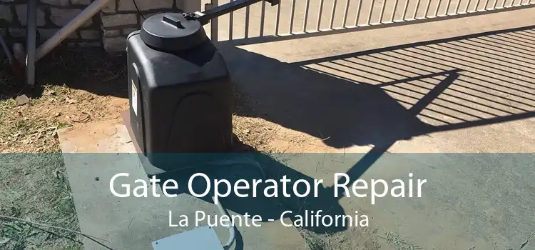 Gate Operator Repair La Puente - California