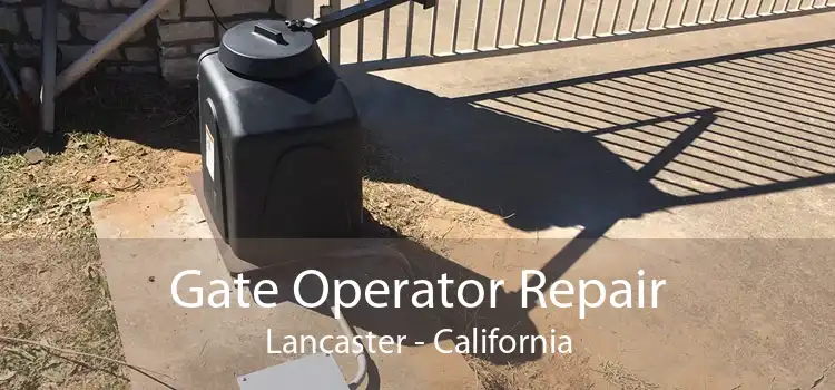 Gate Operator Repair Lancaster - California