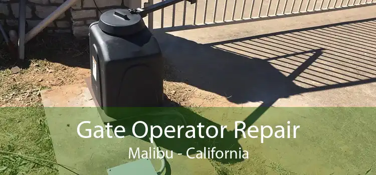 Gate Operator Repair Malibu - California