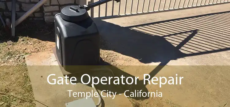 Gate Operator Repair Temple City - California