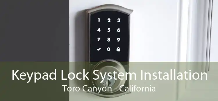 Keypad Lock System Installation Toro Canyon - California