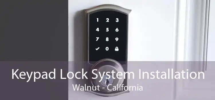 Keypad Lock System Installation Walnut - California