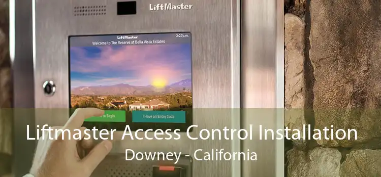 Liftmaster Access Control Installation Downey - California