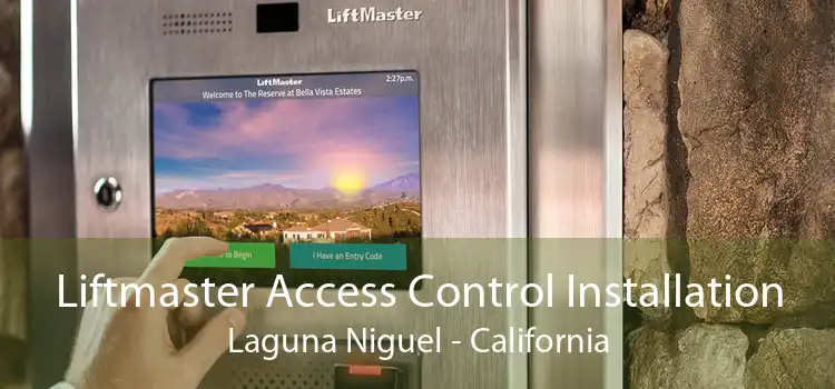 Liftmaster Access Control Installation Laguna Niguel - California