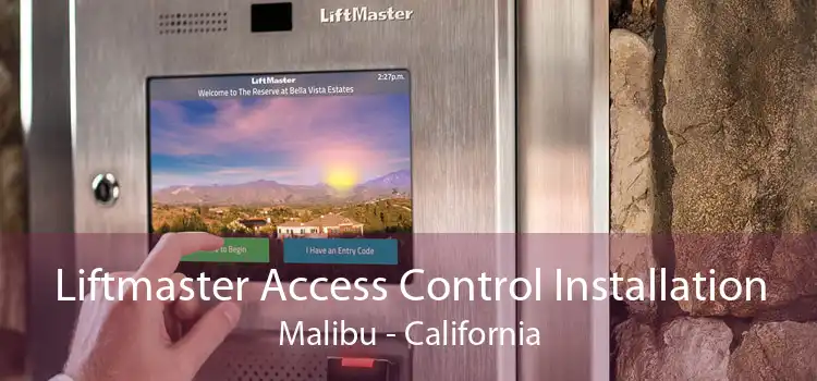 Liftmaster Access Control Installation Malibu - California