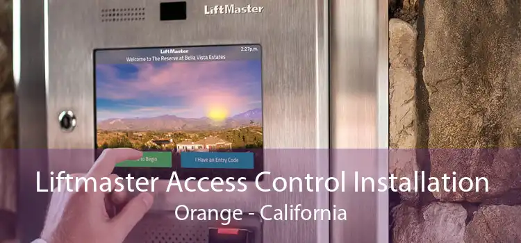 Liftmaster Access Control Installation Orange - California