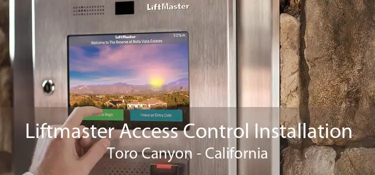 Liftmaster Access Control Installation Toro Canyon - California