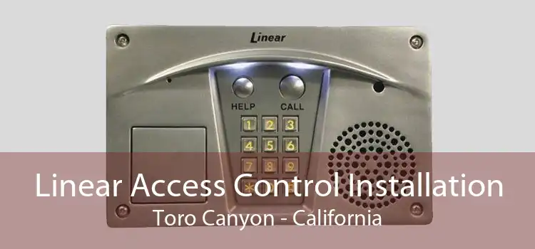 Linear Access Control Installation Toro Canyon - California