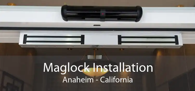 Maglock Installation Anaheim - California