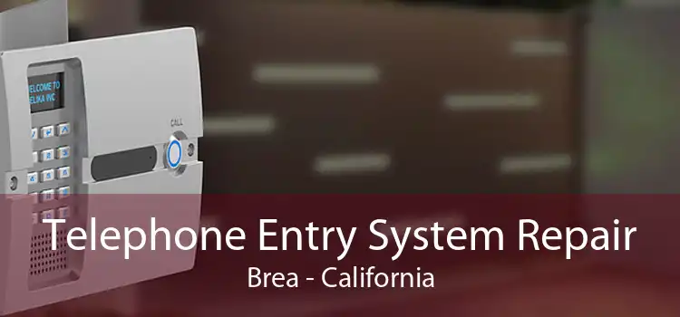 Telephone Entry System Repair Brea - California