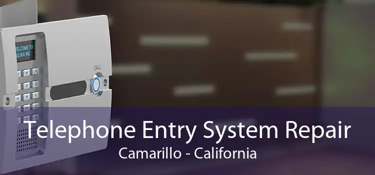 Telephone Entry System Repair Camarillo - California