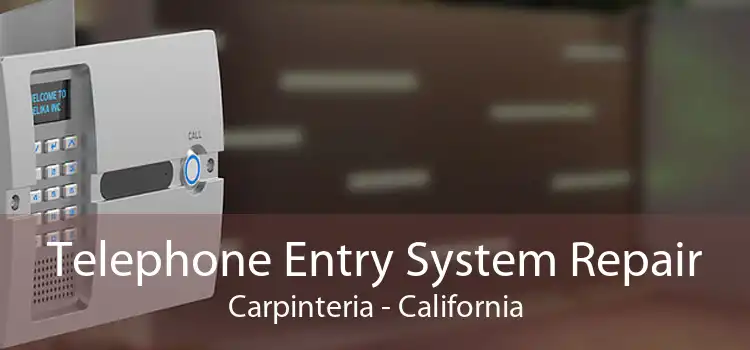 Telephone Entry System Repair Carpinteria - California