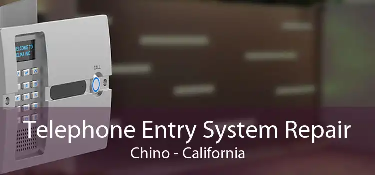 Telephone Entry System Repair Chino - California