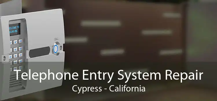 Telephone Entry System Repair Cypress - California