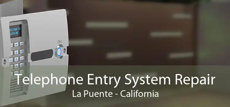 Telephone Entry System Repair La Puente - California