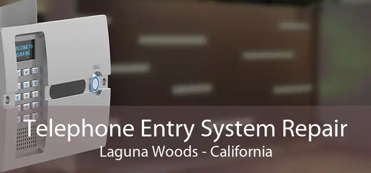 Telephone Entry System Repair Laguna Woods - California