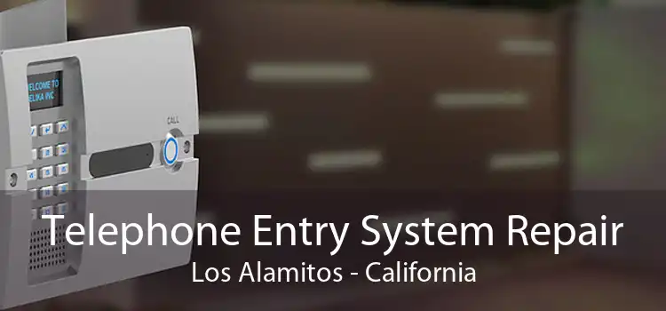 Telephone Entry System Repair Los Alamitos - California