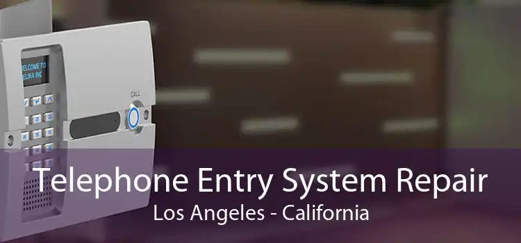 Telephone Entry System Repair Los Angeles - California