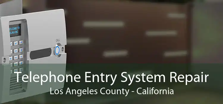 Telephone Entry System Repair Los Angeles County - California