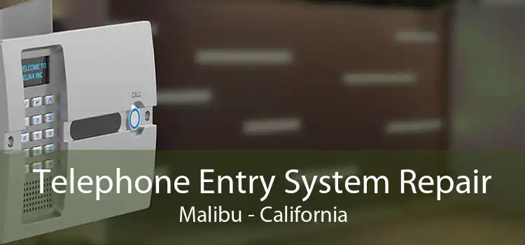 Telephone Entry System Repair Malibu - California