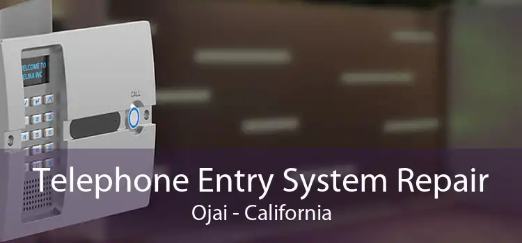 Telephone Entry System Repair Ojai - California